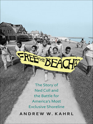 cover image of Free the Beaches